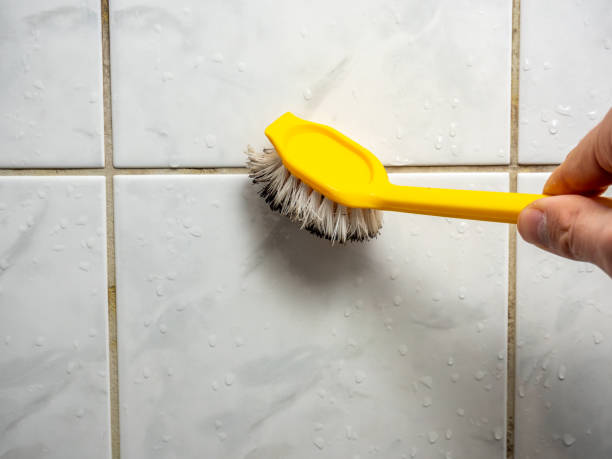 Mold Removal and Inspection in Bean Station, TN